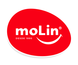 design sem nome 2025 02 25t115132 516
